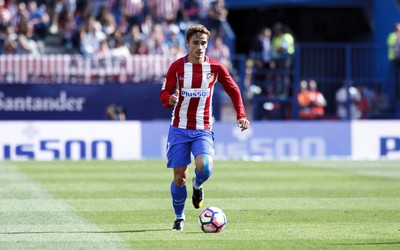 杏运体育焦点-五盾军团需要新领袖