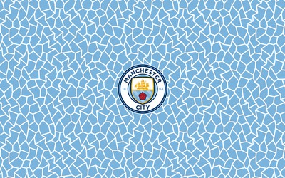 杏运体育焦点-伤病来袭哈兰德伤停两个月